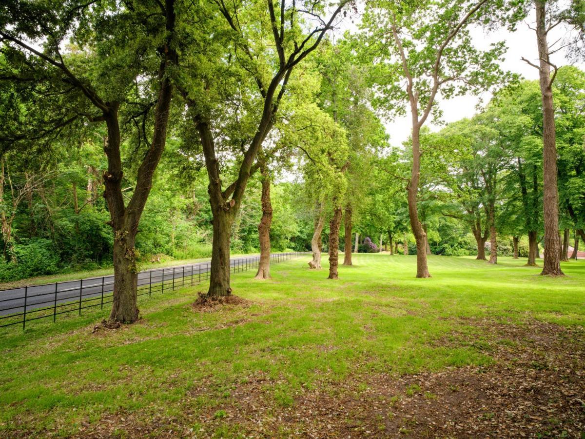 灵伍德Tyrrells Park住宿加早餐旅馆 外观 照片